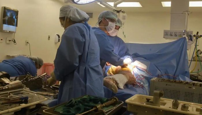 Instituições avaliam razões para troca de próteses de quadril e joelho